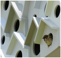 Bird Apartment by Nendo - Featured Image